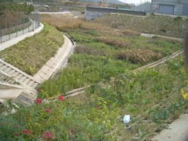 Drainage Services Department, village flood protection works